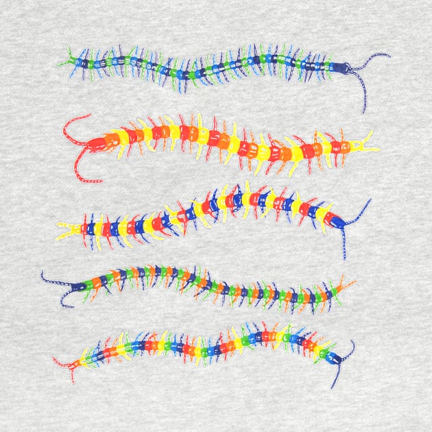 Colorwheel Centipede by RaLiz